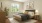 a bedroom with a bed and a plant